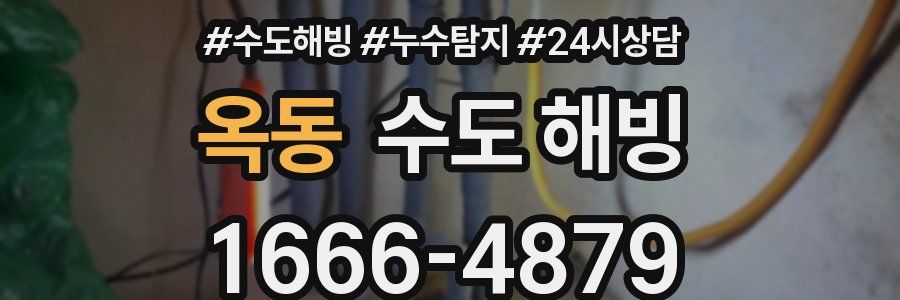 옥동 수도 해빙