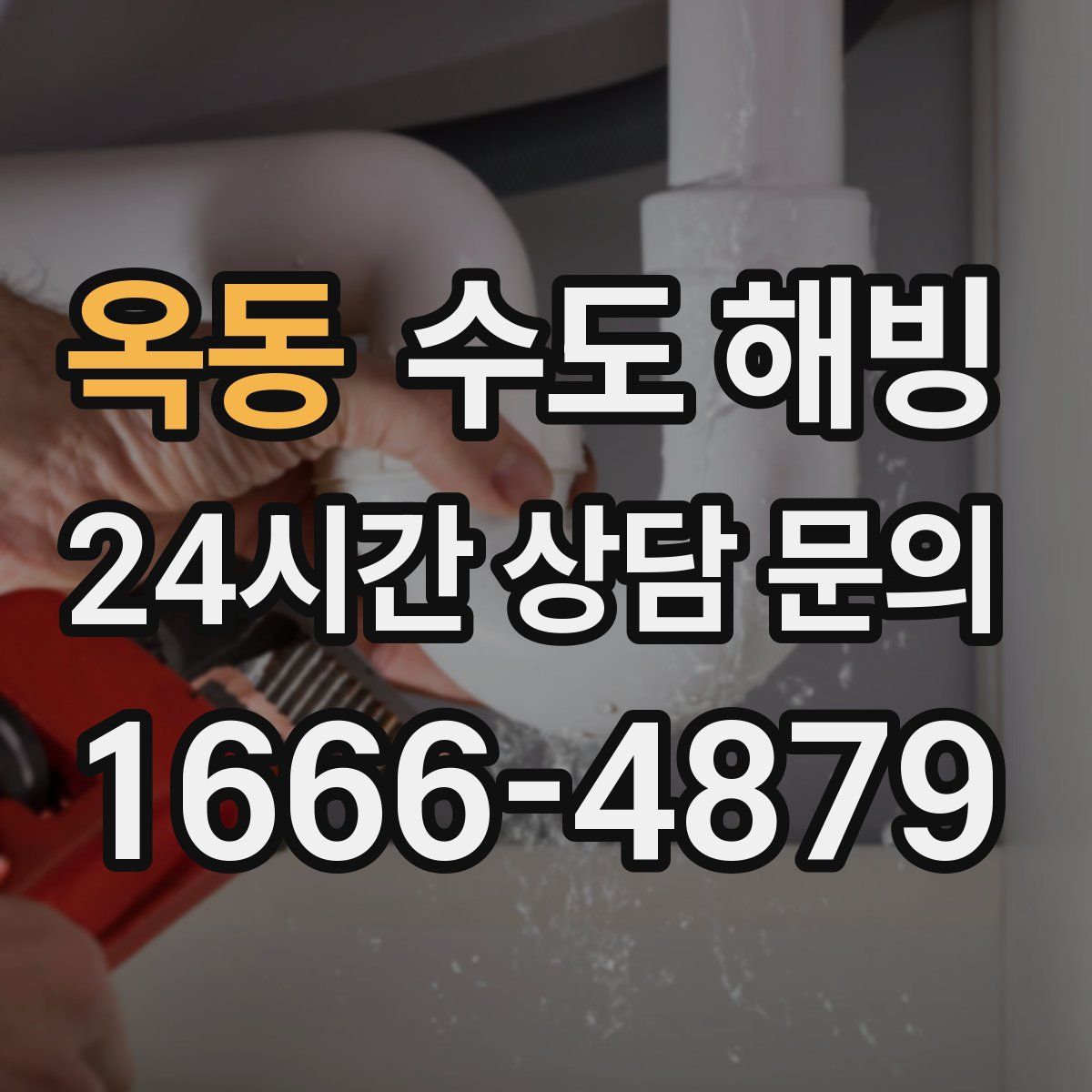 옥동 수도 해빙