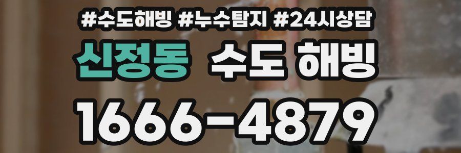 신정동 수도 해빙