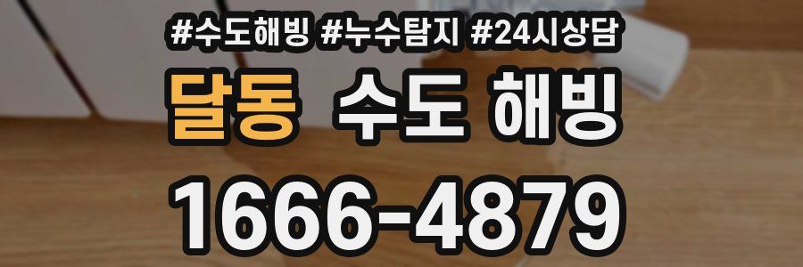 달동 수도 해빙