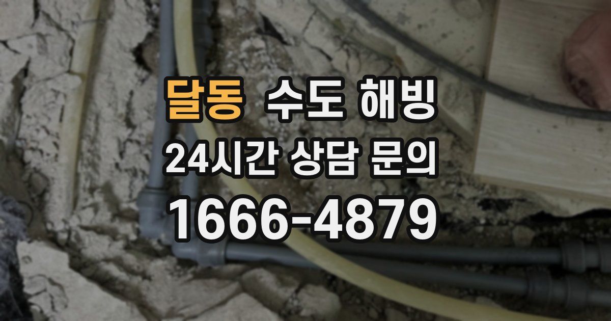 달동 수도 해빙