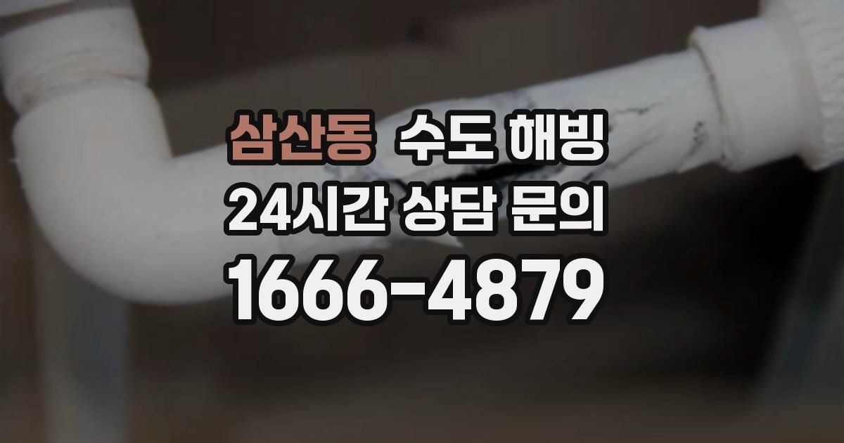 삼산동 수도 해빙