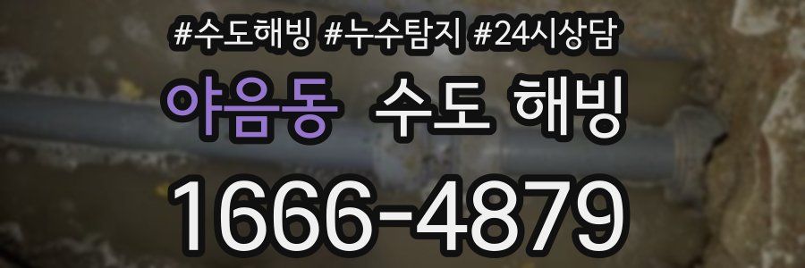 야음동 수도 해빙
