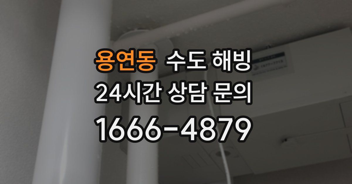 용연동 수도 해빙