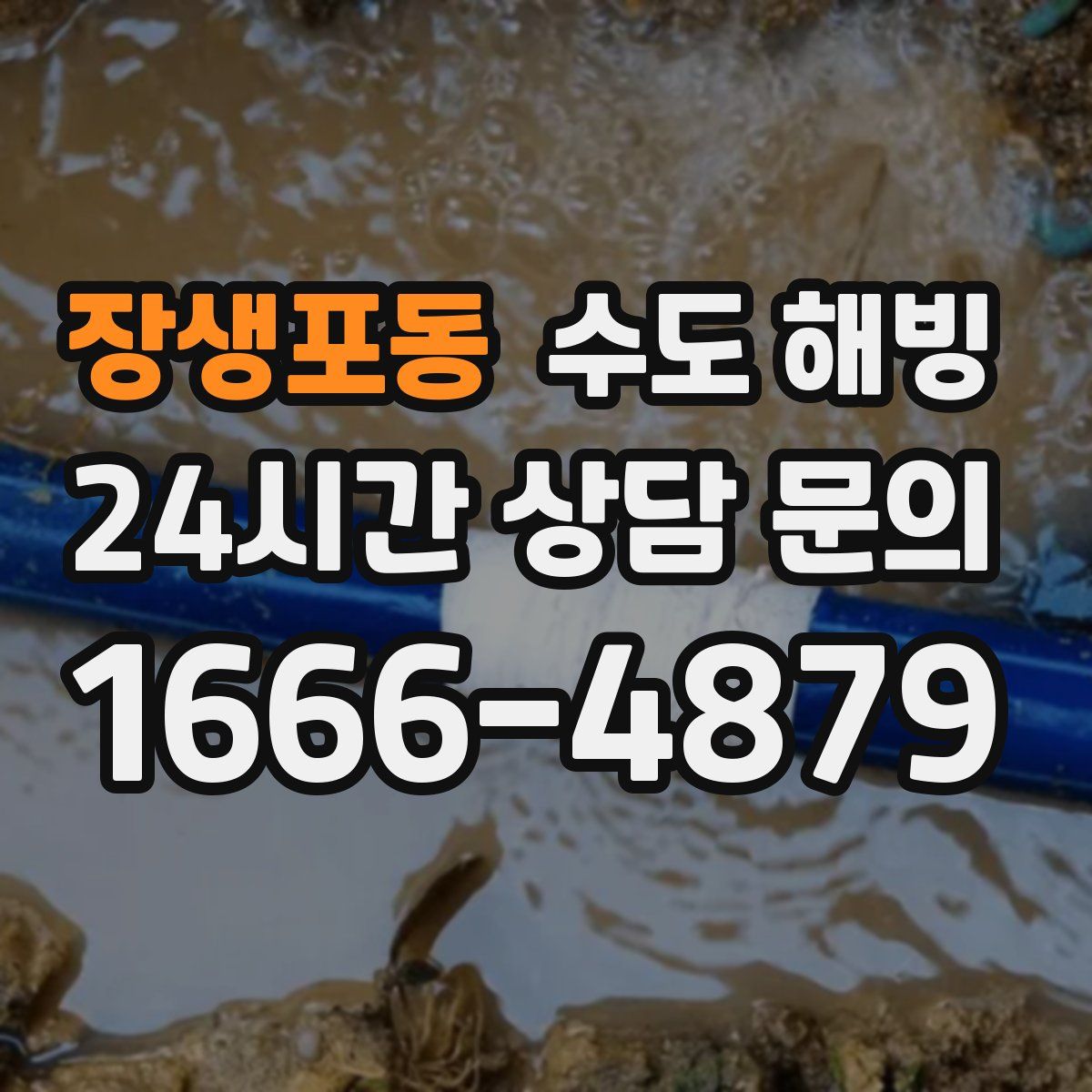 장생포동 수도 해빙