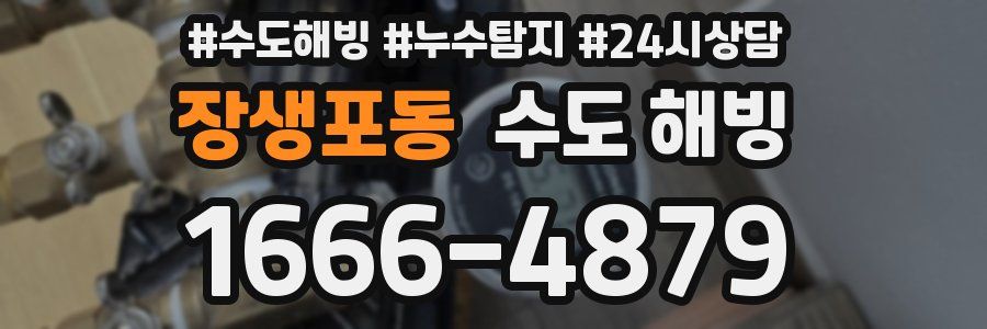 장생포동 수도 해빙