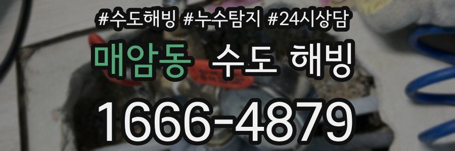 매암동 수도 해빙