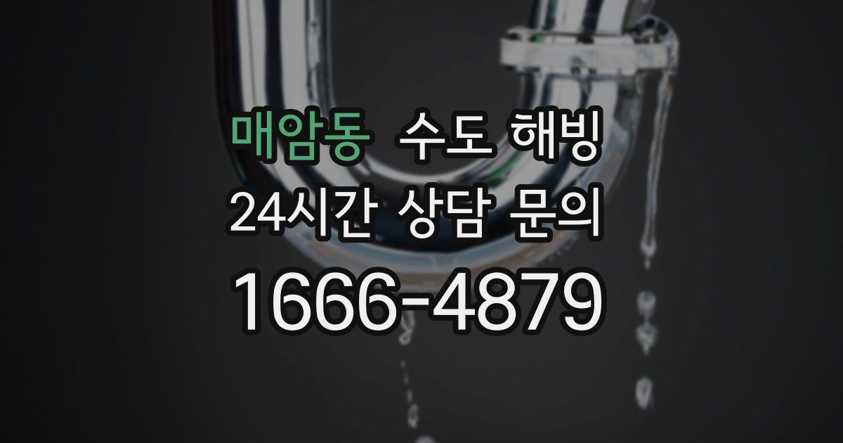 매암동 수도 해빙