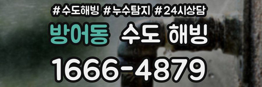 방어동 수도 해빙