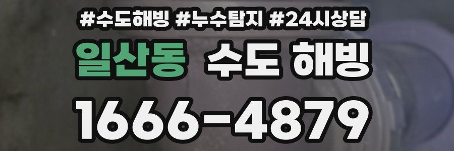 일산동 수도 해빙