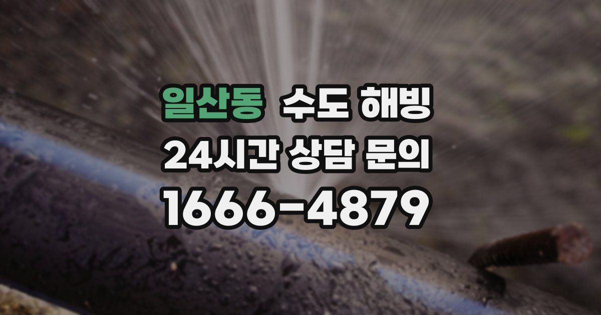 일산동 수도 해빙