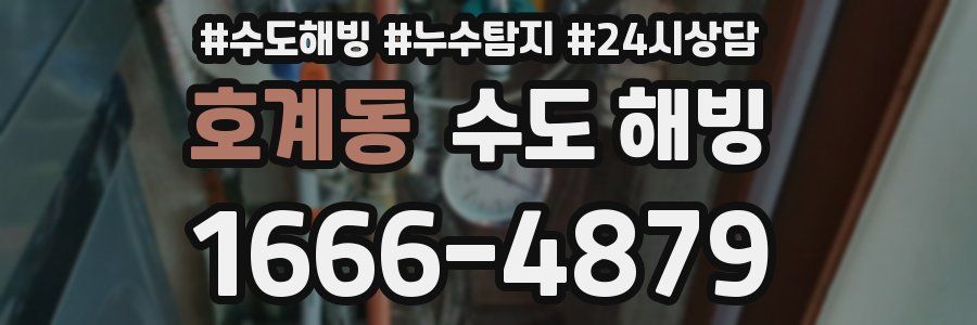 호계동 수도 해빙