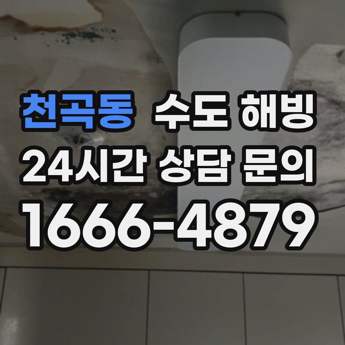 천곡동 수도 해빙