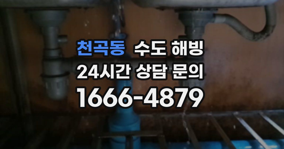 천곡동 수도 해빙