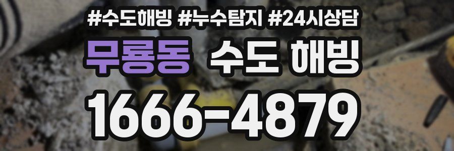 무룡동 수도 해빙