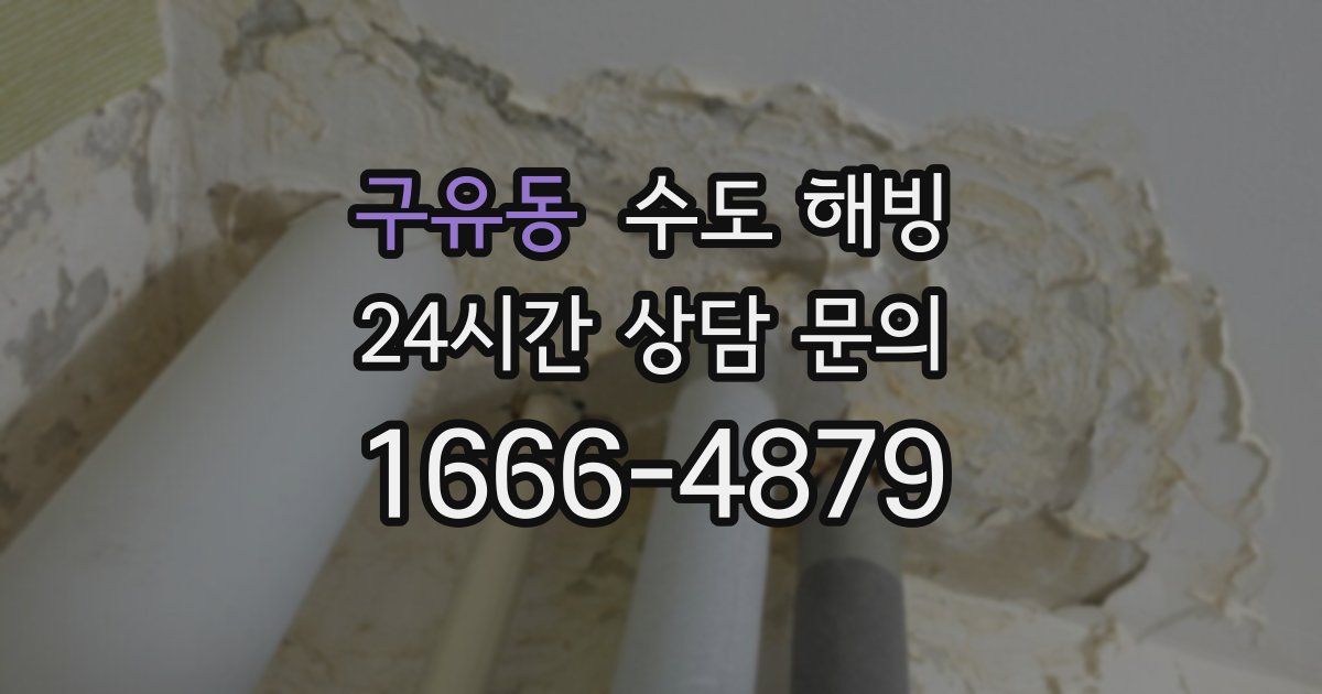 구유동 수도 해빙