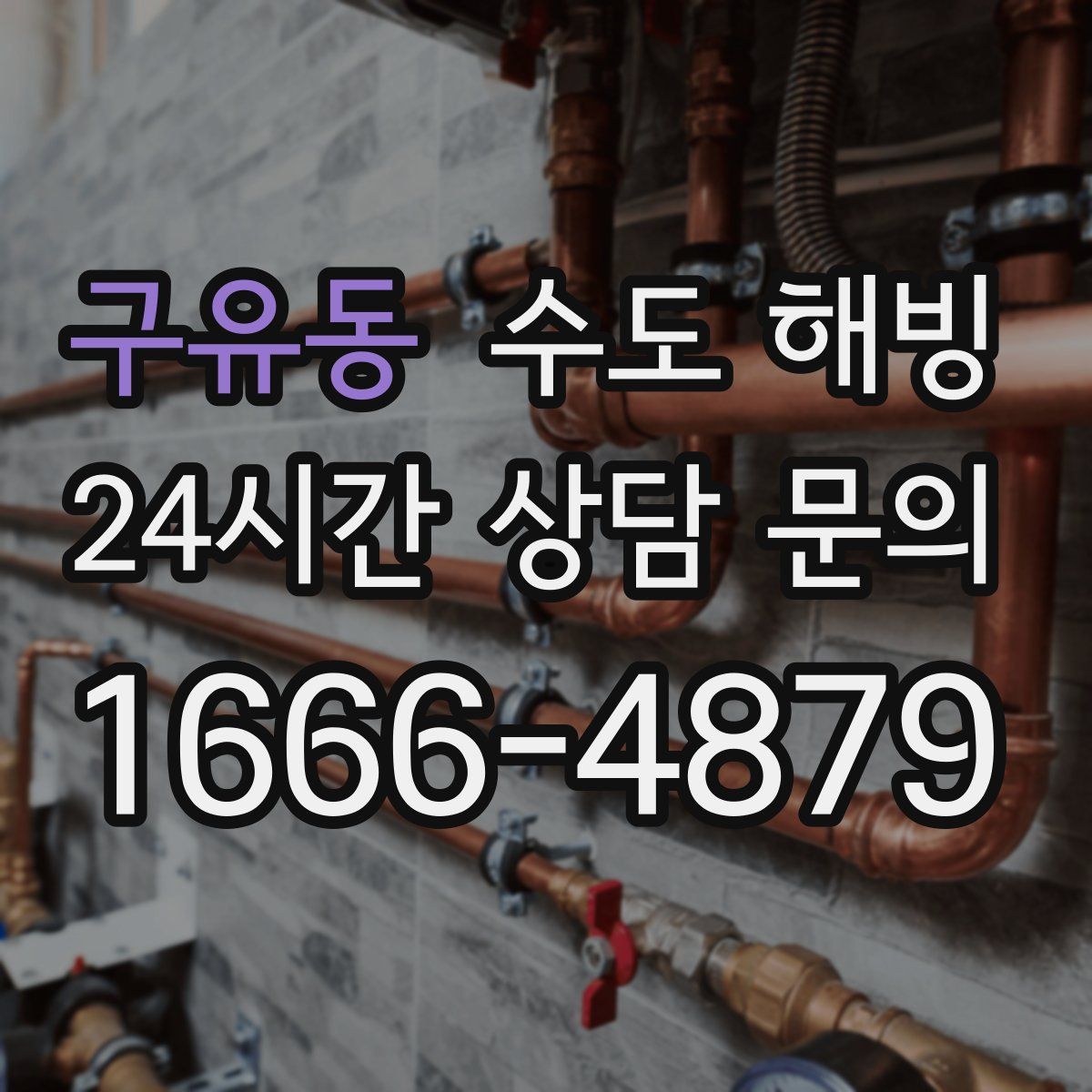 구유동 수도 해빙