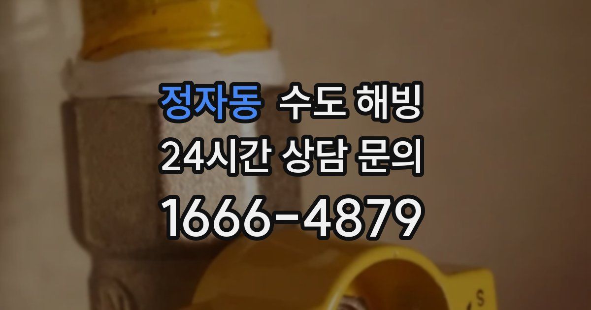 정자동 수도 해빙