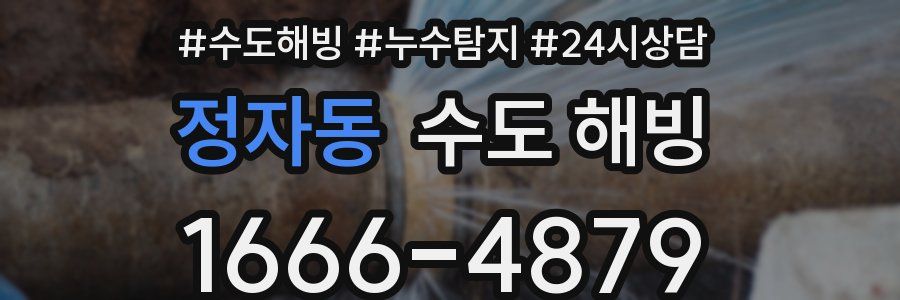 정자동 수도 해빙