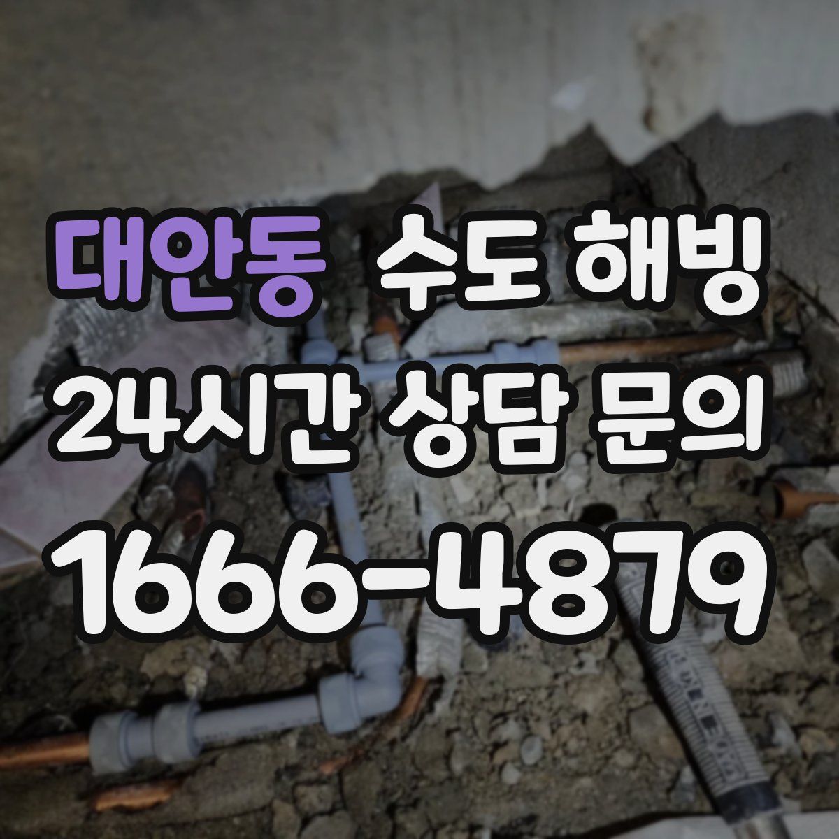 대안동 수도 해빙