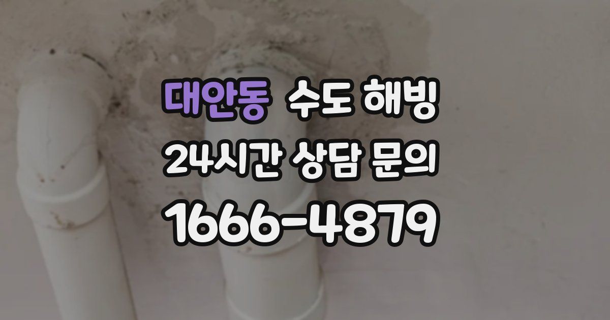 대안동 수도 해빙