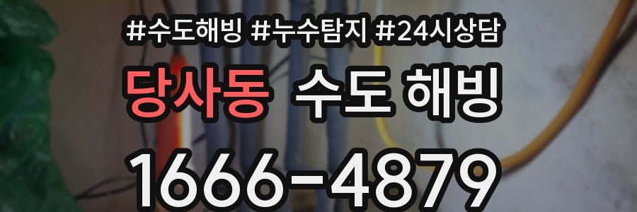 당사동 수도 해빙