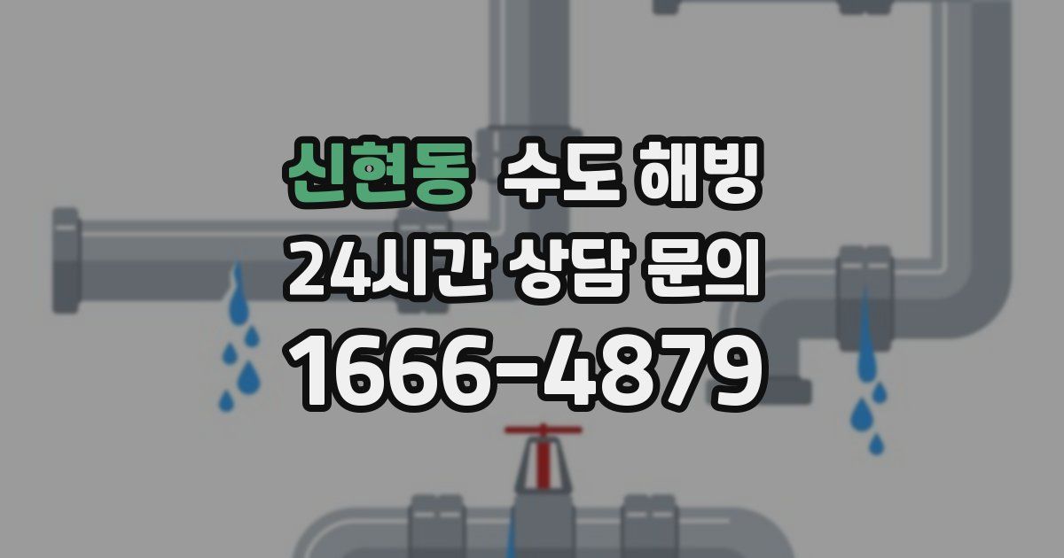 신현동 수도 해빙