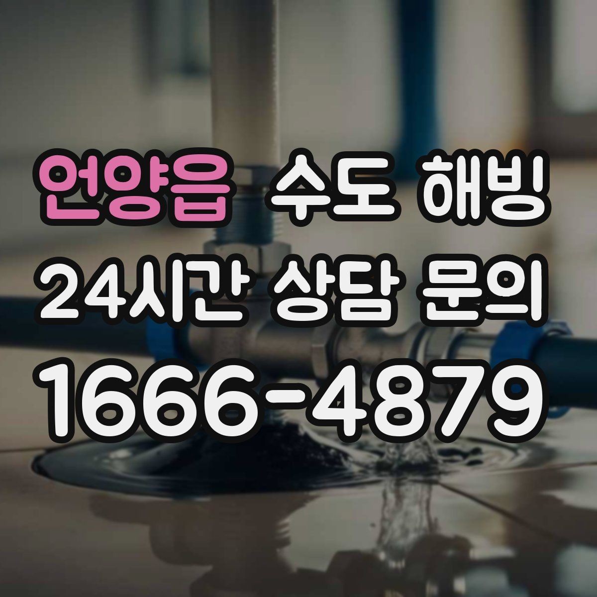 언양읍 수도 해빙 수전(수도꼭지)만 얼었을 수도 있을까