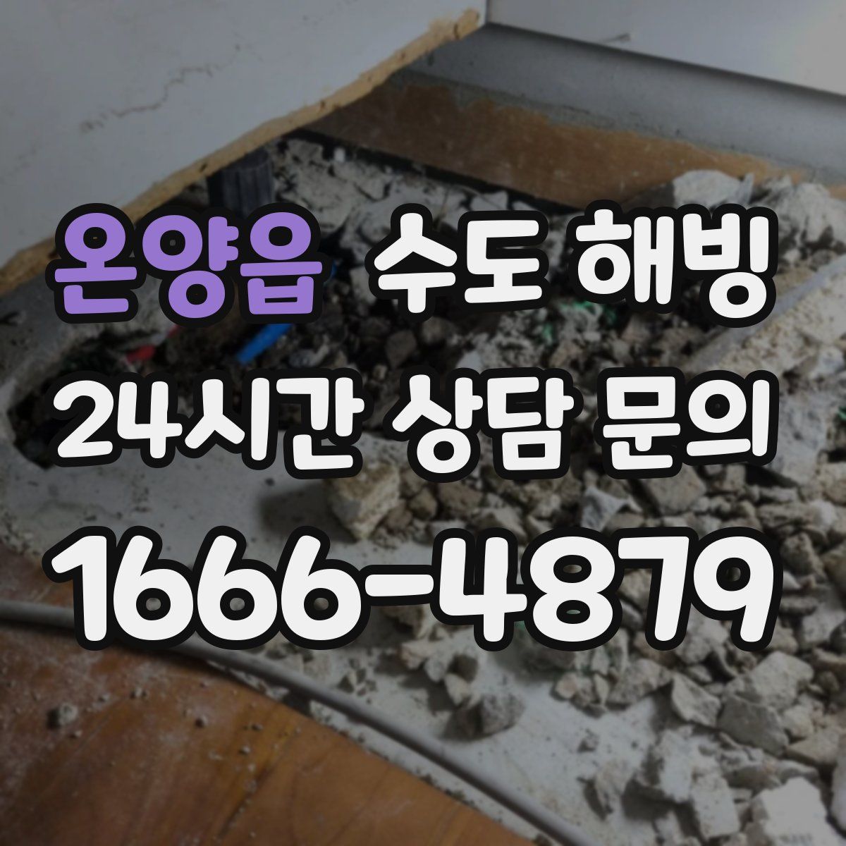 온양읍 수도 해빙