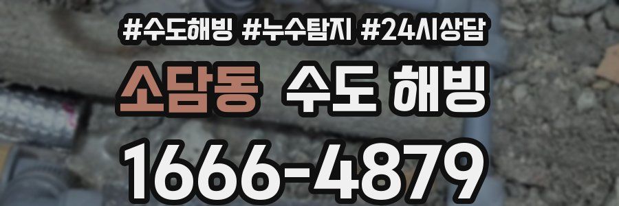 소담동 수도 해빙