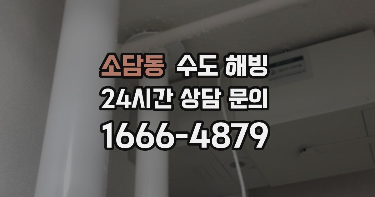소담동 수도 해빙