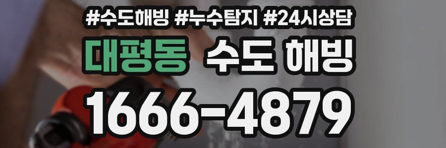 대평동 수도 해빙