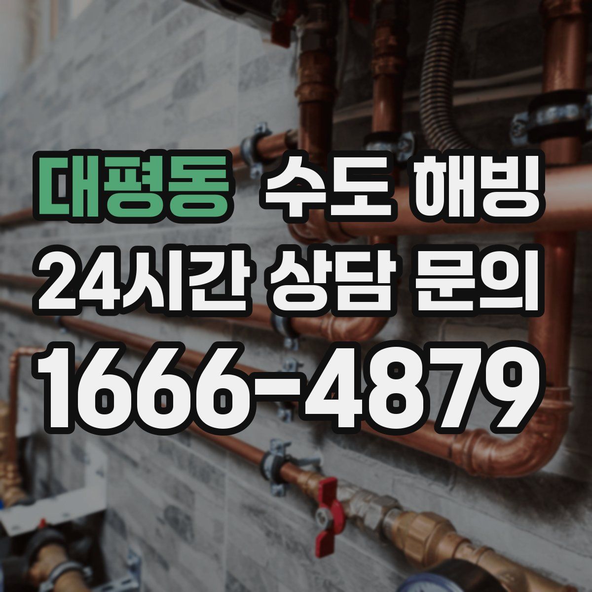 대평동 수도 해빙