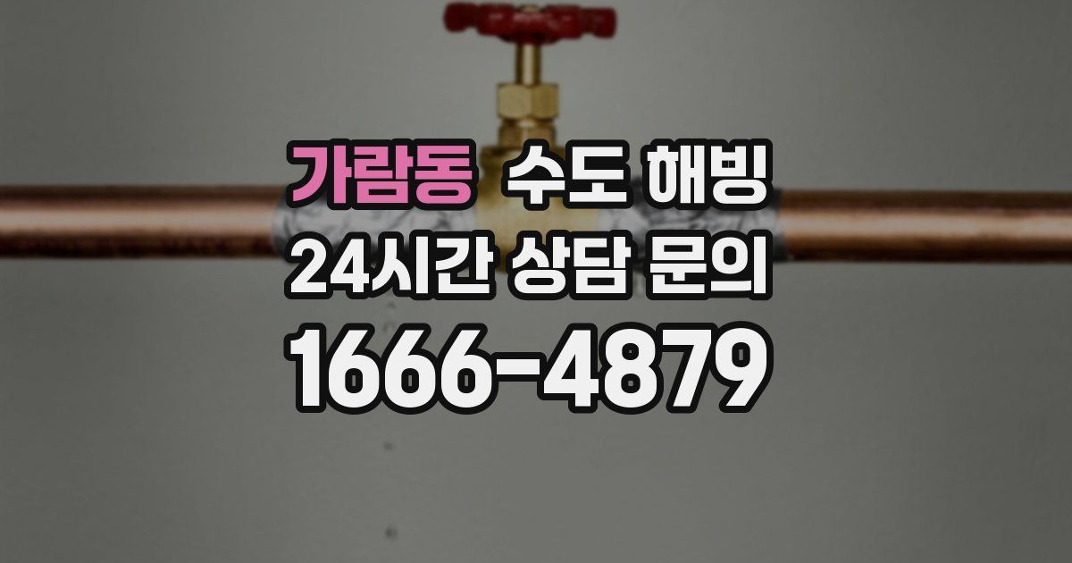 가람동 수도 해빙