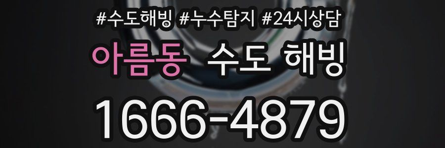 아름동 수도 해빙