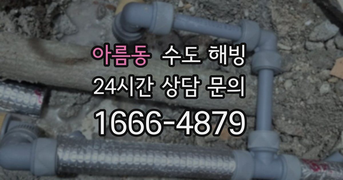 아름동 수도 해빙