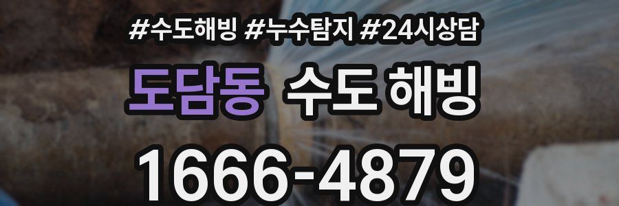 도담동 수도 해빙