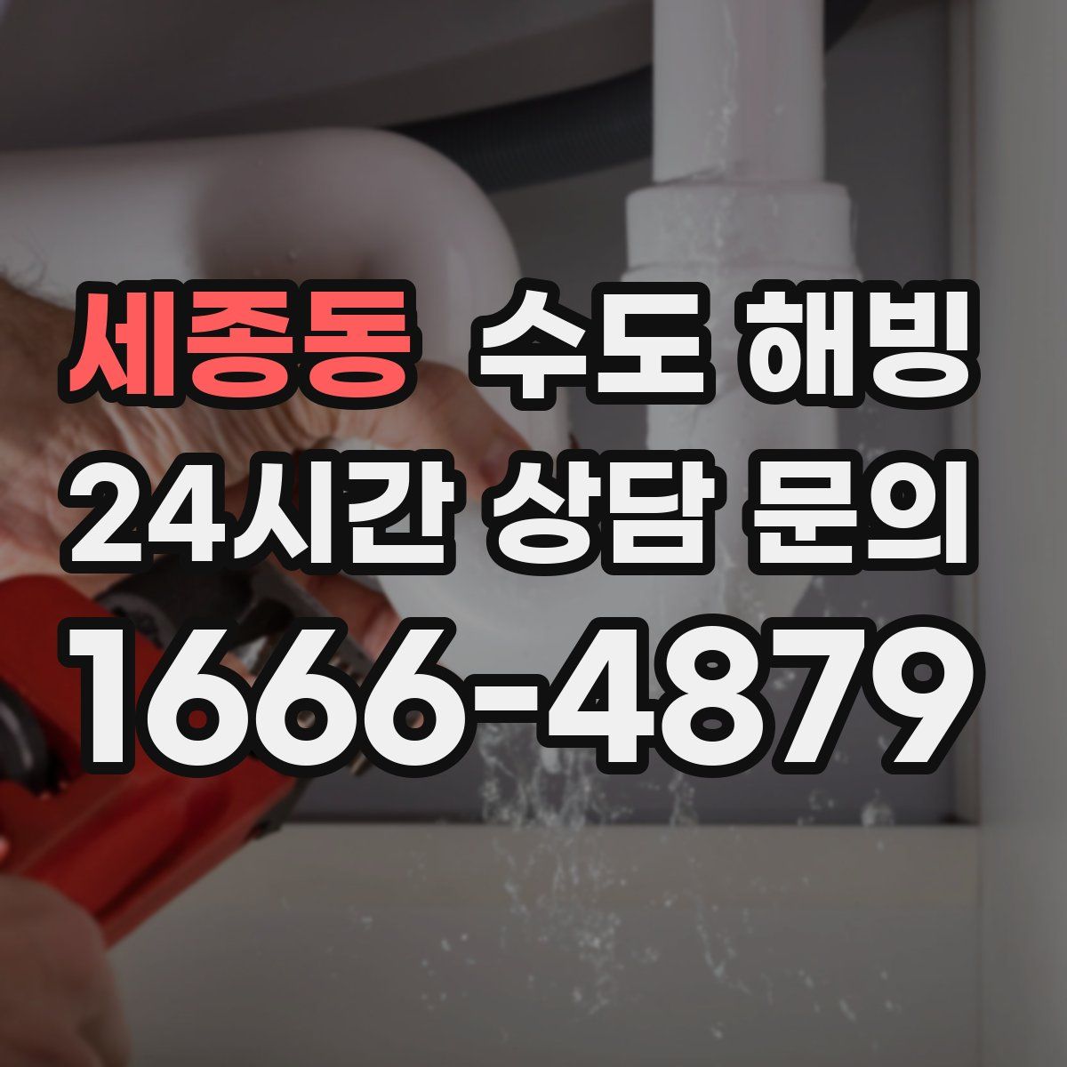 세종동 수도 해빙