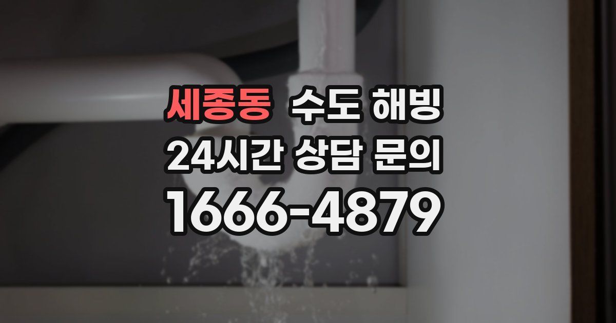 세종동 수도 해빙