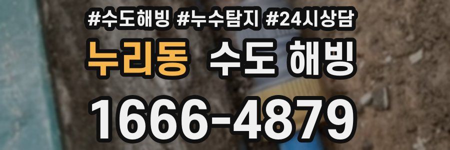 누리동 수도 해빙