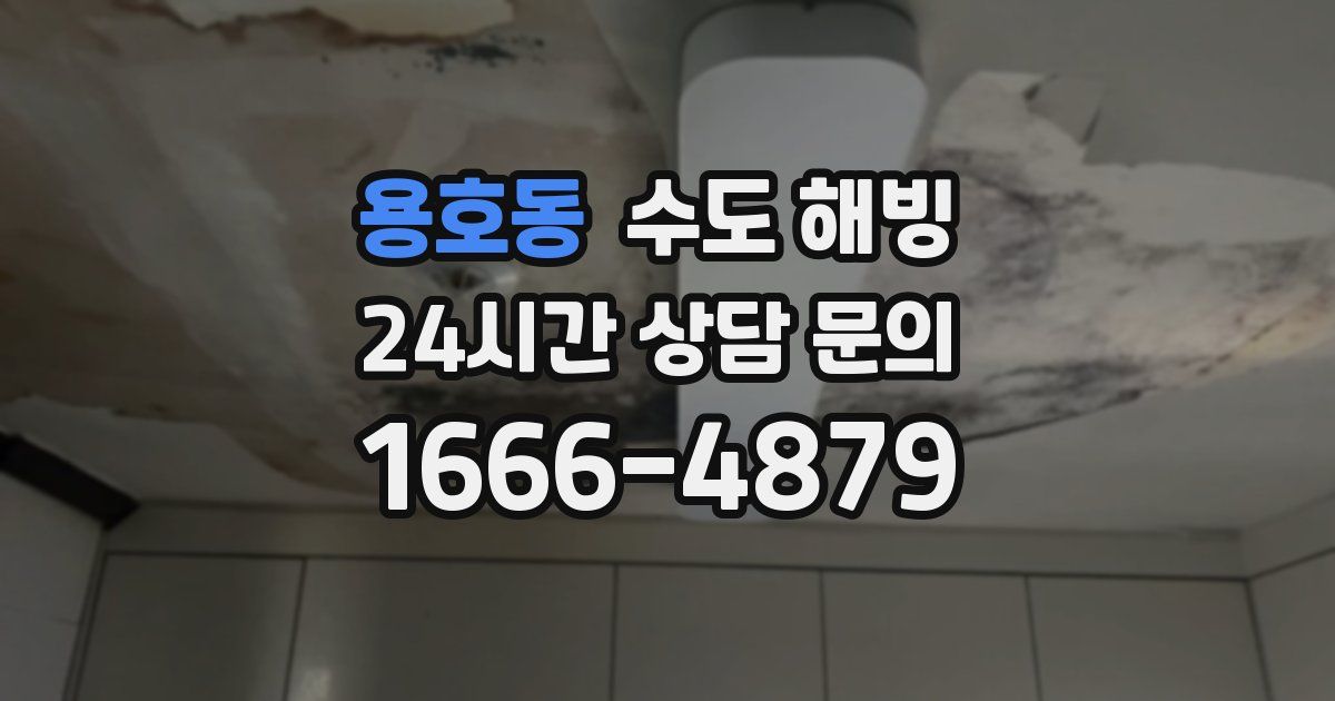 용호동 수도 해빙