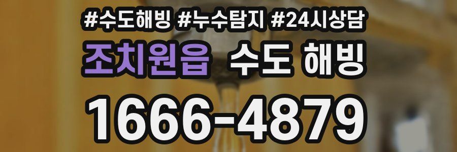 조치원읍 수도 해빙