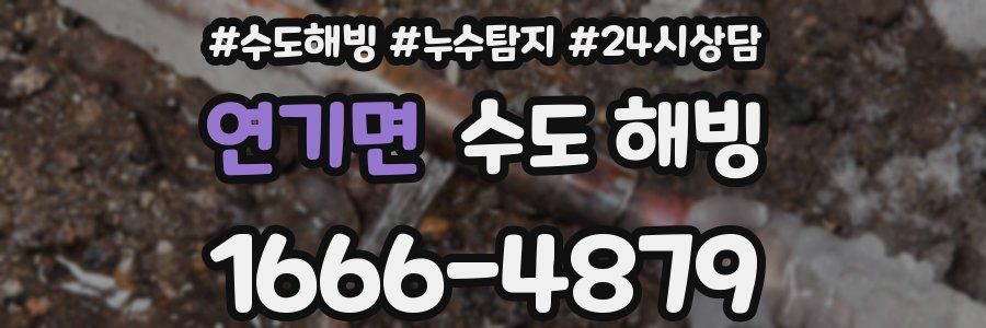 연기면 수도 해빙