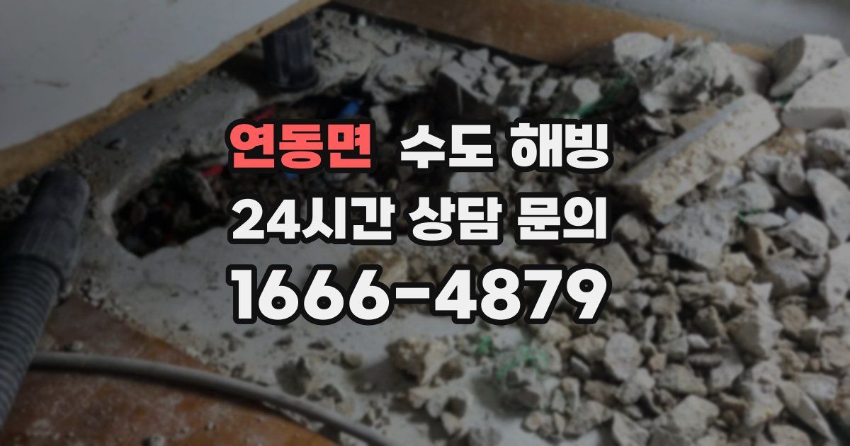 연동면 수도 해빙