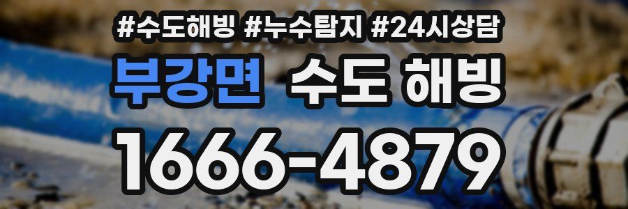 부강면 수도 해빙