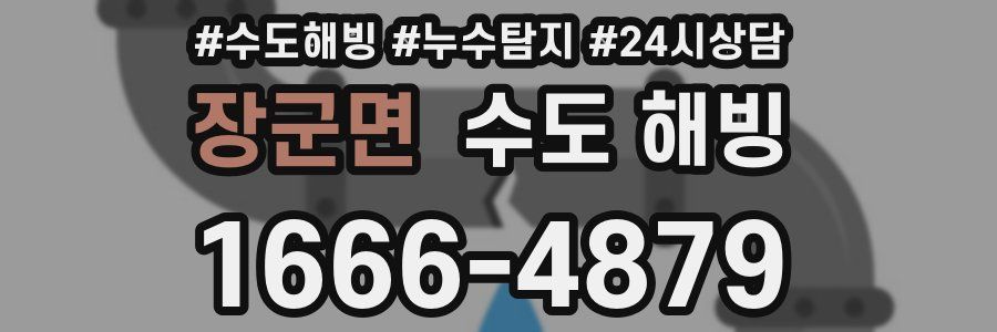 장군면 수도 해빙