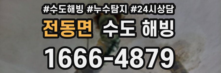 전동면 수도 해빙