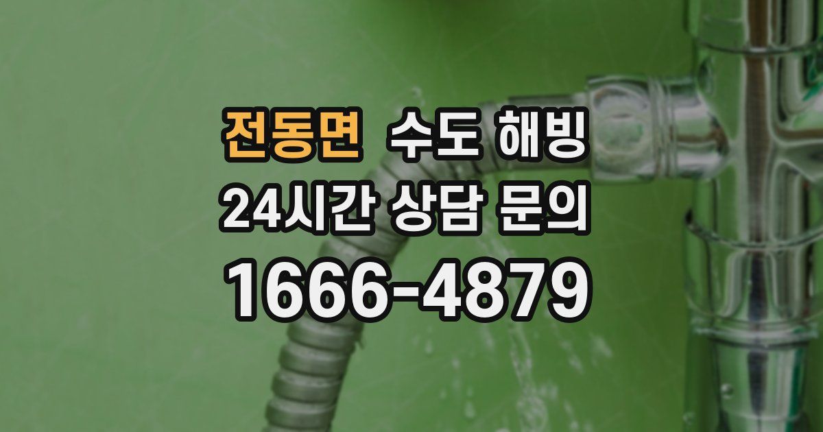 전동면 수도 해빙