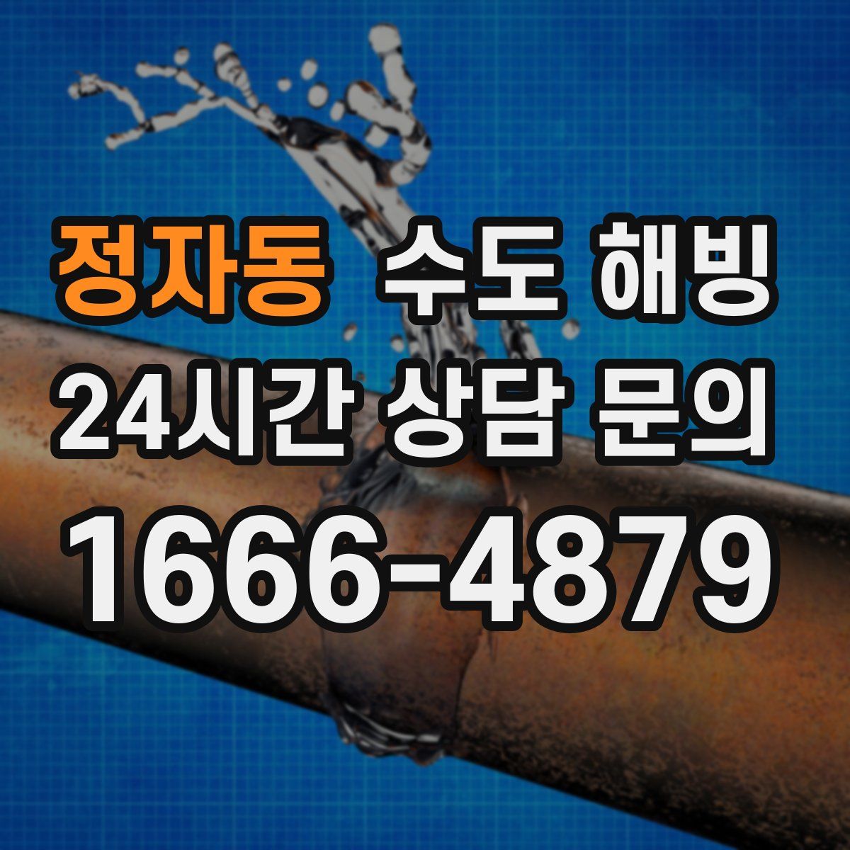 정자동 수도 해빙