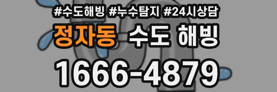 정자동 수도 해빙